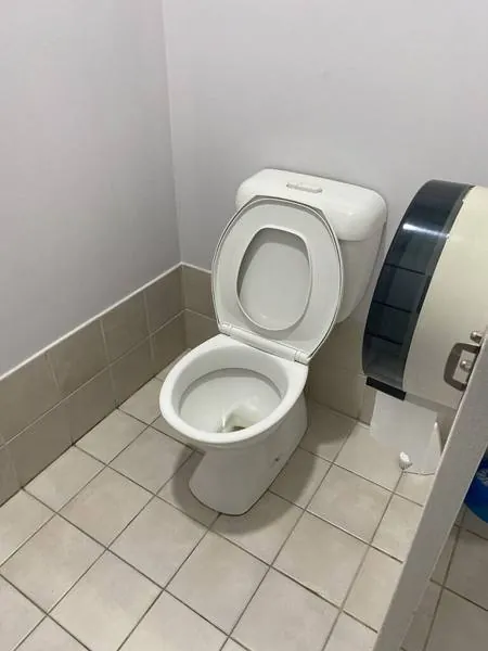 トイレの便器