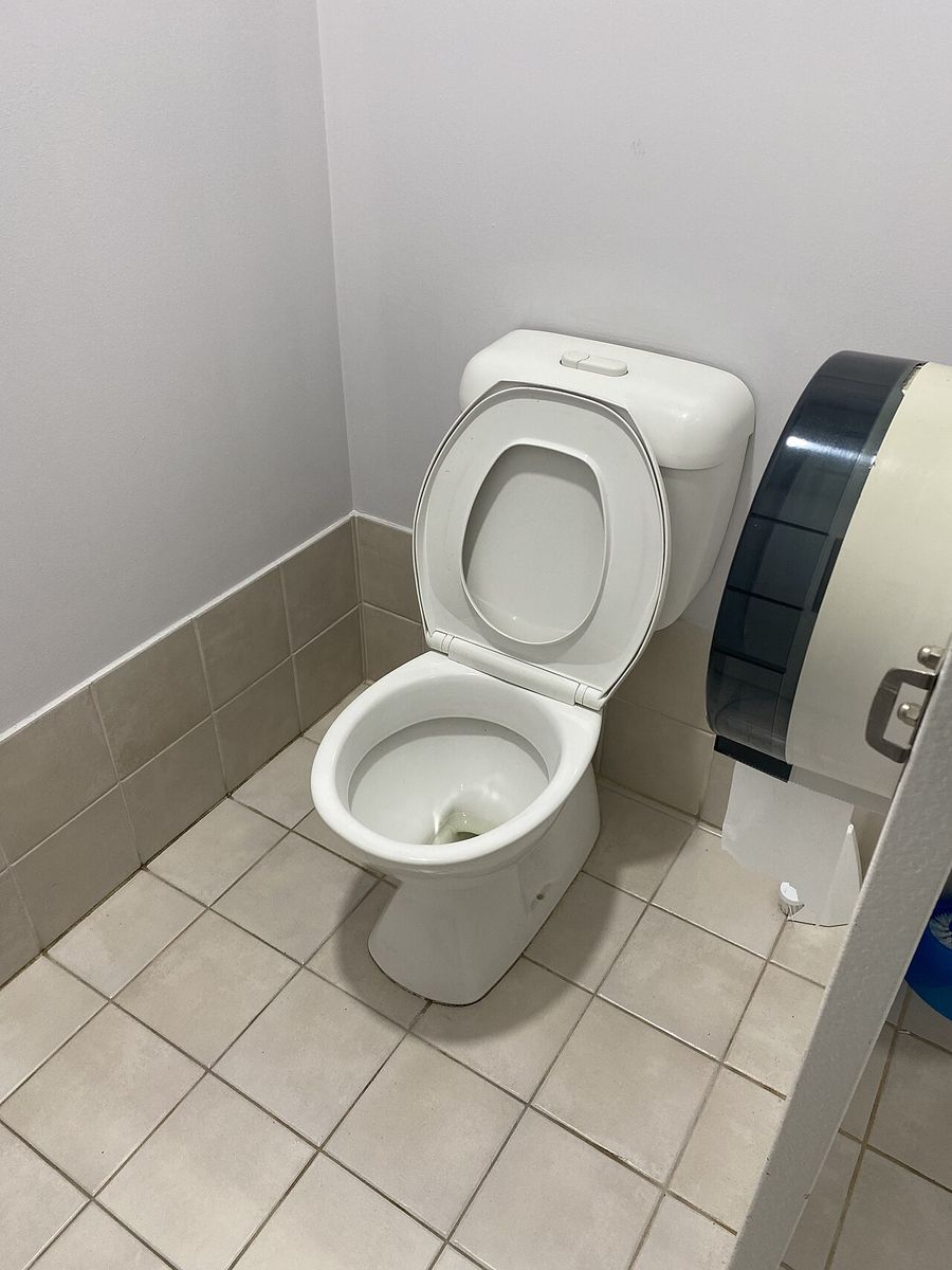 トイレの便器